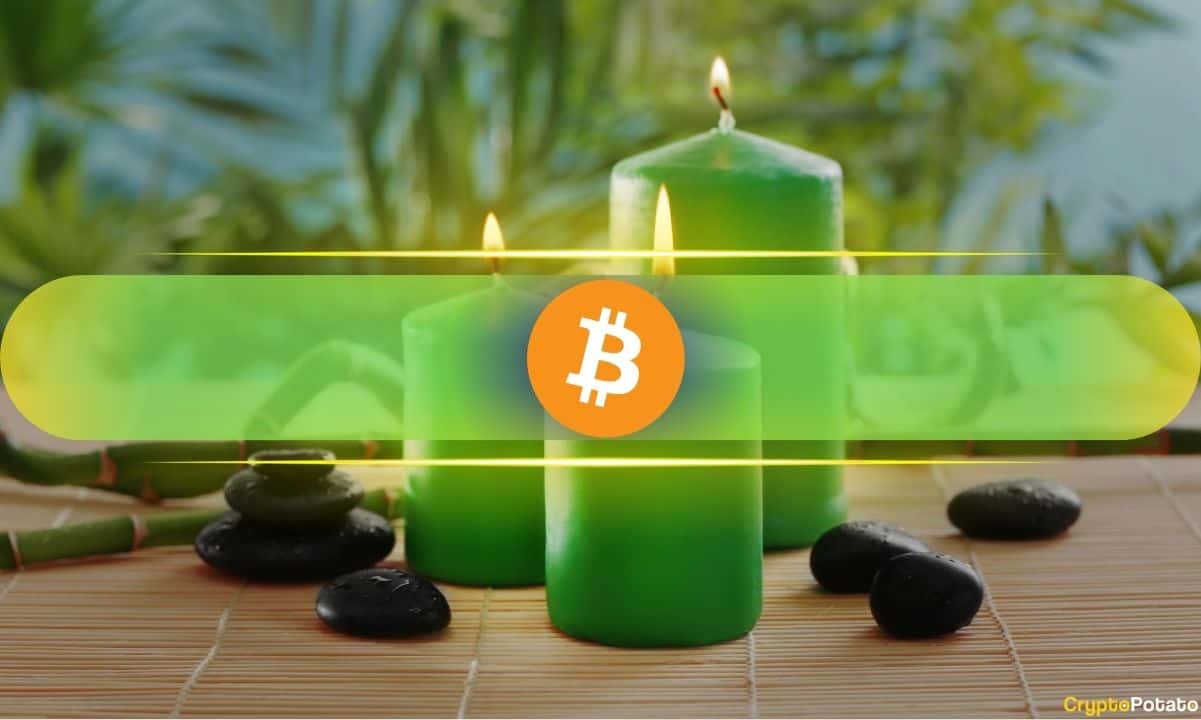 Bitcoin Makes History With First-Ever Green August During a Bear Market